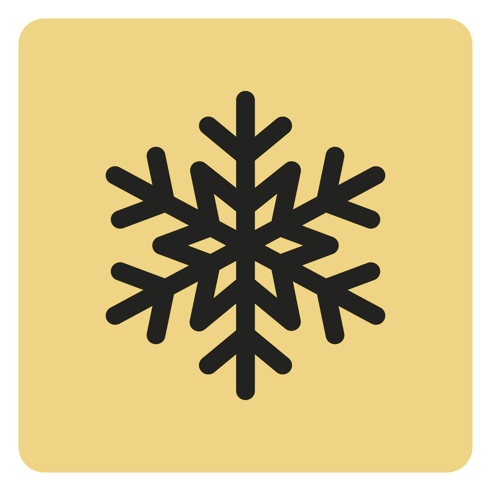 checklist icon